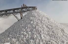 WhatsApp Image 2026-04-25 at 1.41.31 PM (1)