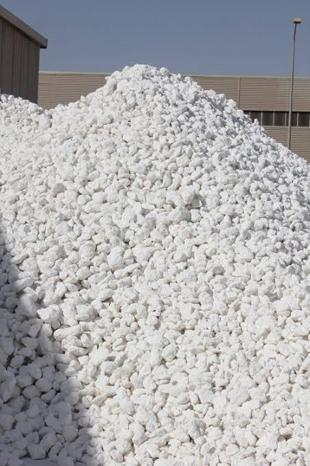 WhatsApp Image 2026-04-25 at 1.41.31 PM